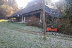 IMG_20240203_100319