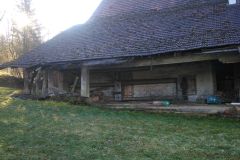IMG_20240203_100348