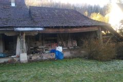 IMG_20240203_100353