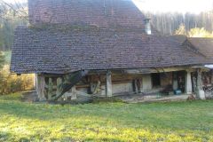 IMG_20240203_100435