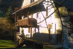 IMG_20240203_100513