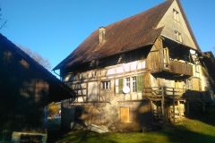 IMG_20240203_100646