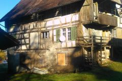 IMG_20240203_100652
