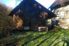IMG_20240203_100657