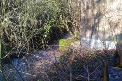IMG_20240203_100725