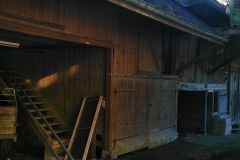 IMG_20240203_100750