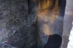 IMG_20240203_100935