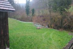 IMG_20240301_110738