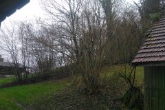 IMG_20240301_110805