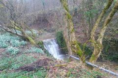 IMG_20240301_111320