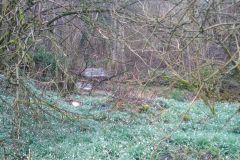 IMG_20240301_111346