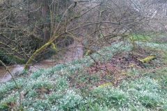 IMG_20240301_111356