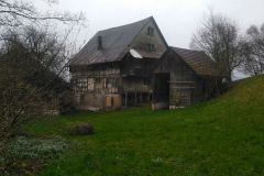 IMG_20240301_111403