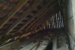 IMG_20240301_115044