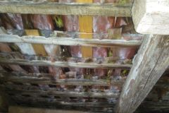 IMG_20240301_123506