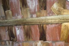 IMG_20240301_123517