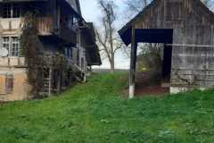 IMG-20241117-WA0009