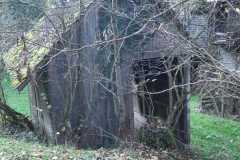 IMG-20241117-WA0010