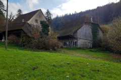 IMG-20241117-WA0012