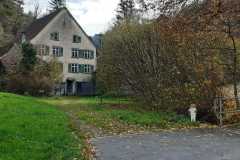 IMG-20241117-WA0013