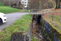 IMG-20241117-WA0015