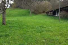 IMG-20241117-WA0018