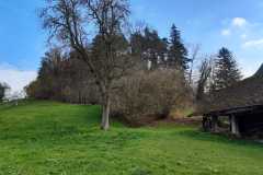 IMG-20241117-WA0020