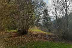 IMG-20241117-WA0022