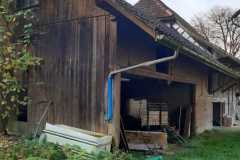 IMG-20241117-WA0030
