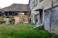 IMG-20241117-WA0031