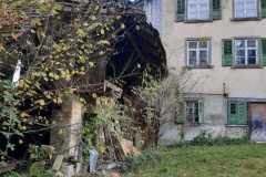 IMG-20241117-WA0035