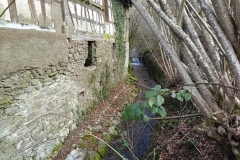 IMG_20250210_134121_331