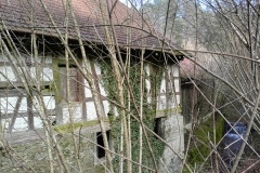 IMG_20250210_134316_347