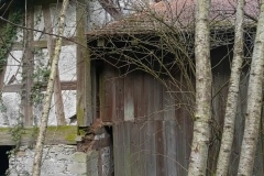 IMG_20250210_134643_892