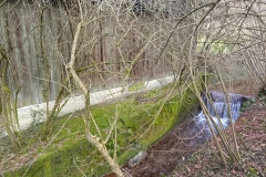 IMG_20250210_134715_961