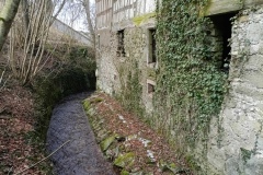 IMG_20250210_134728_832