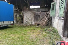 IMG_20250328_120019_055