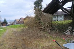 IMG_20250328_120039_428