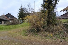 IMG_20250328_171937_831