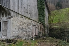 IMG_20250331_164943_823