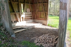IMG_20250401_162524_602