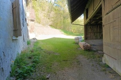 IMG_20250415_174927_755