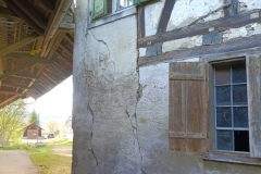 IMG_20250415_174945_108