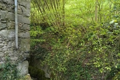 IMG_20250421_121456_333