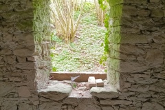 IMG_20250421_121552_751