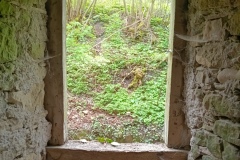 IMG_20250421_121656_175