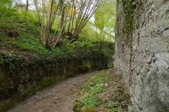 IMG_20250421_121858_386