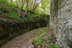 IMG_20250421_121901_871