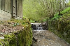 IMG_20250421_121933_383
