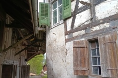 IMG_20250421_122047_356